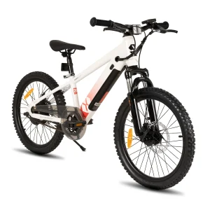JOYSTAR Kids Electric Bike 250W 15MPH Ages 7+